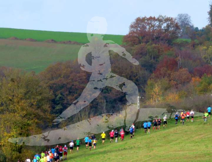 Altmühltrail 2017