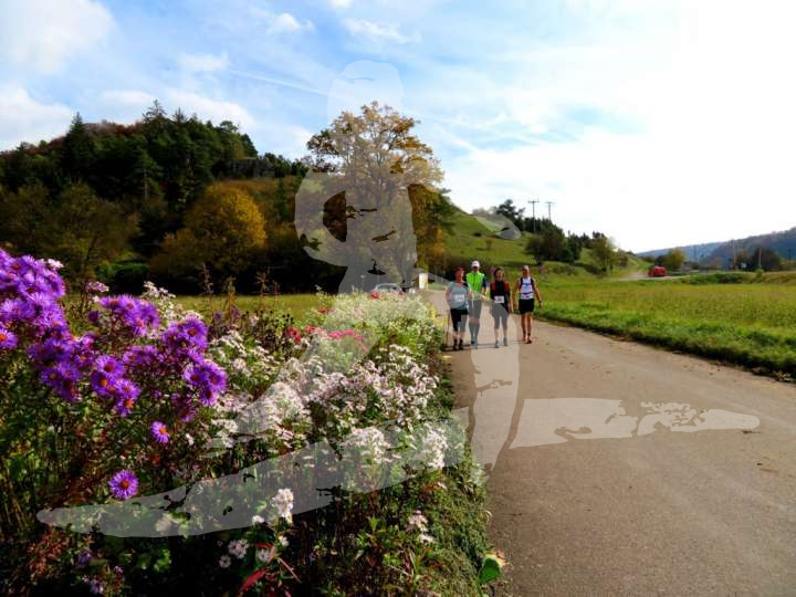 Altmühltrail 2017