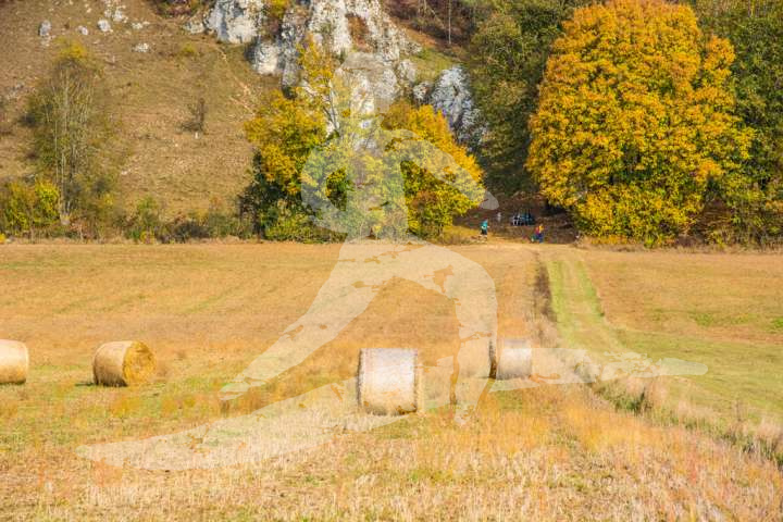 Altmühltrail 2018