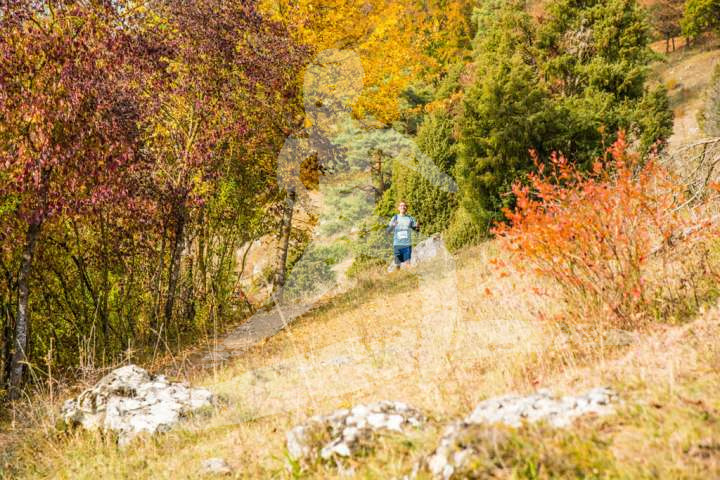 Altmühltrail 2018