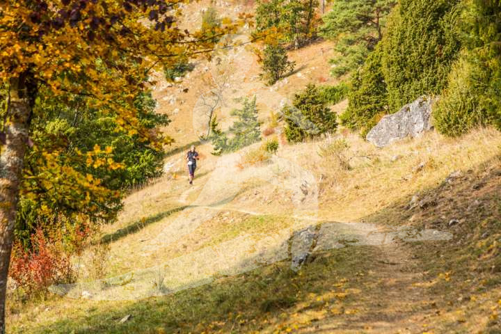 Altmühltrail 2018
