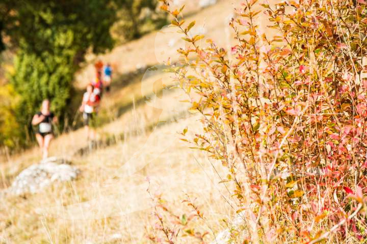 Altmühltrail 2018