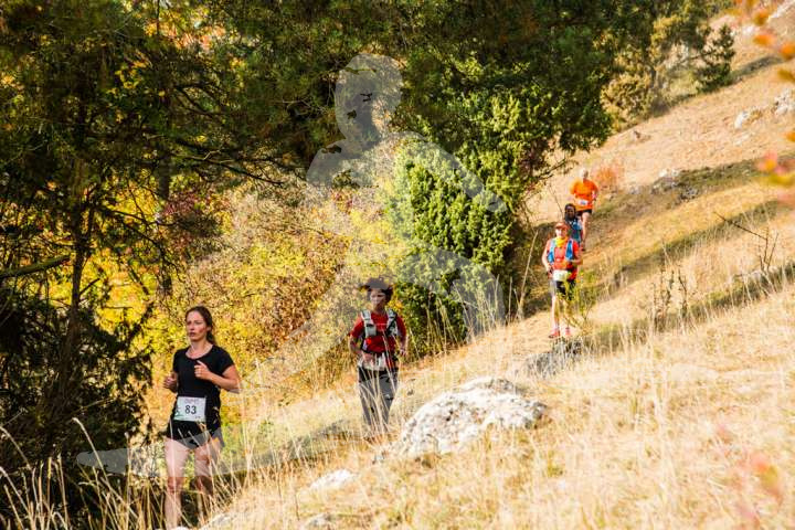 Altmühltrail 2018