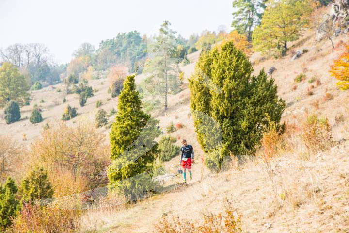 Altmühltrail 2018