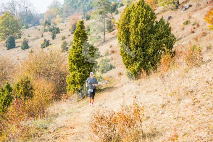 Altmühltrail 2018