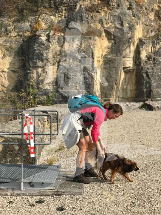 Altmühltrail 2018