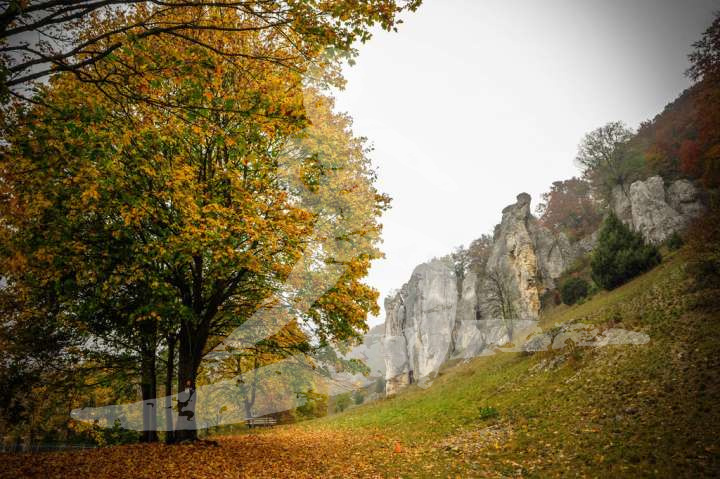 Altmühltrail 2018