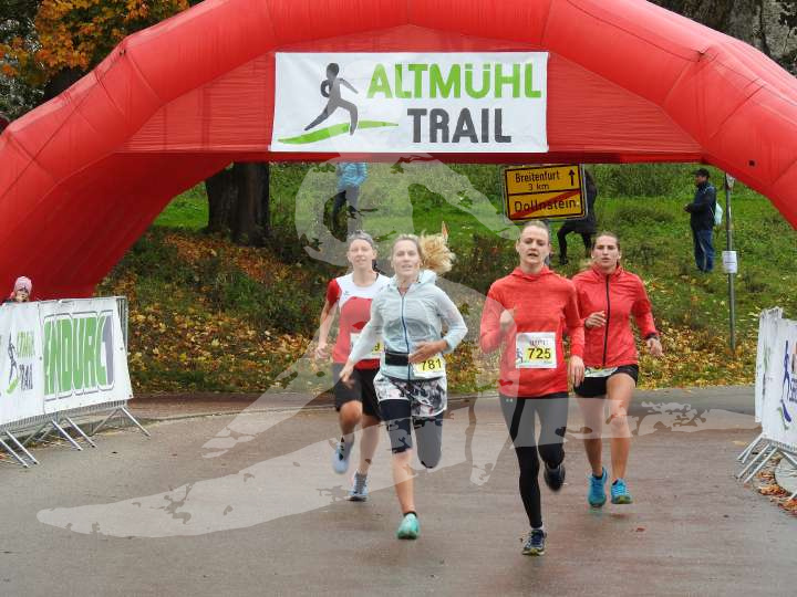 AMT 2019