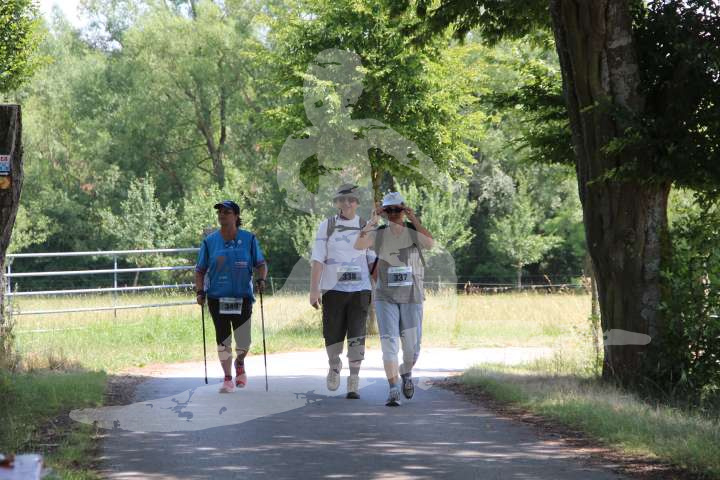 Altmühltrail 2014