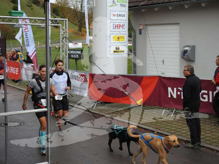 AMT 2019