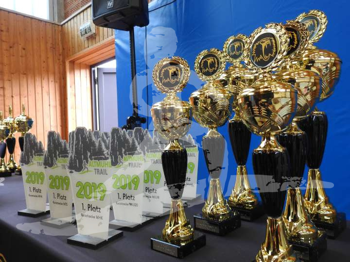 AMT 2019