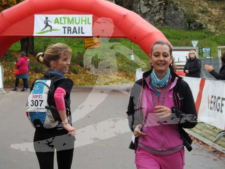AMT 2019