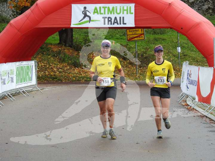 AMT 2019