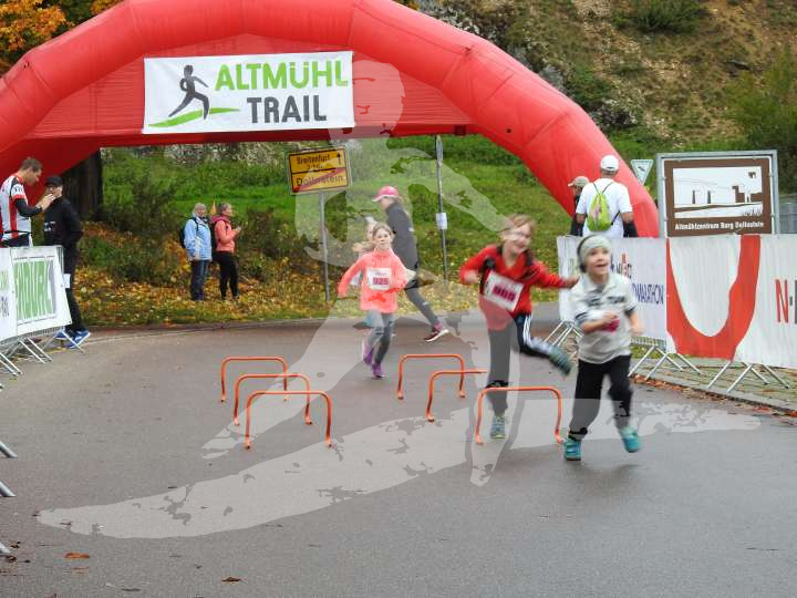 AMT 2019