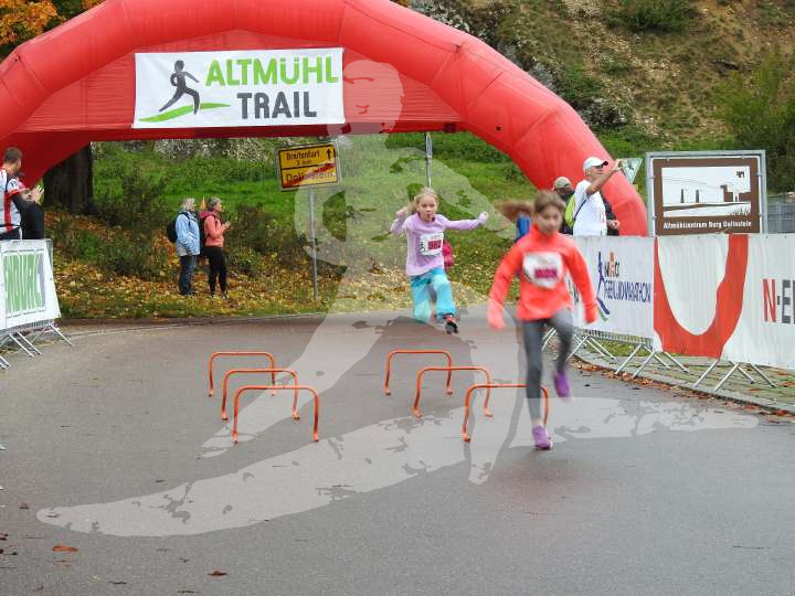 AMT 2019