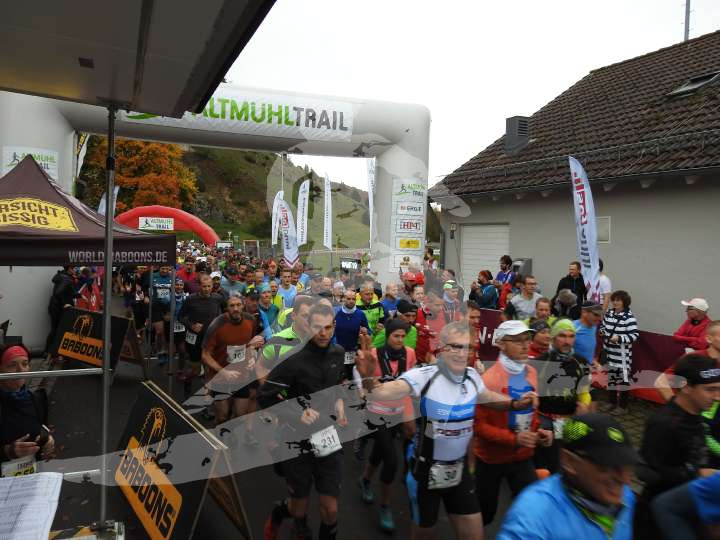 AMT 2019