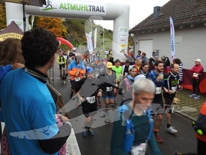 AMT 2019
