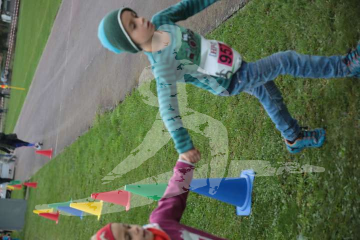 AMT 2019