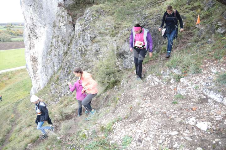 AMT 2019