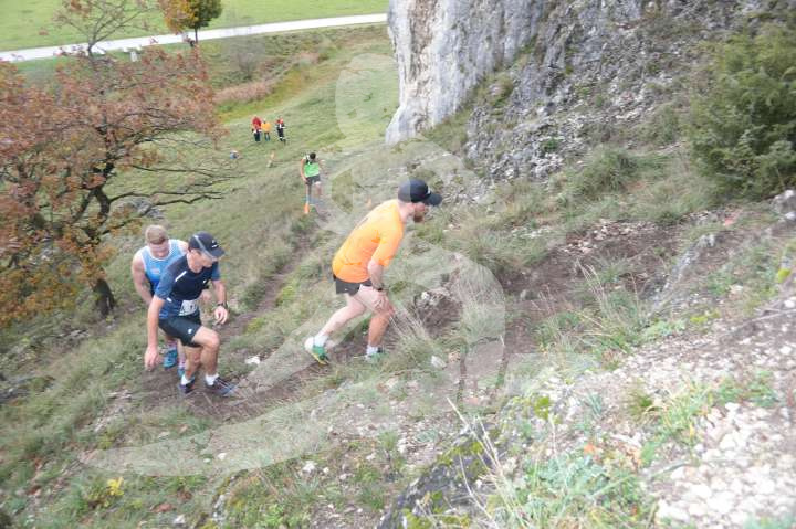 AMT 2019