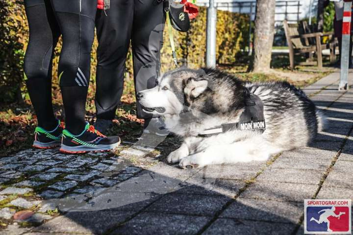 Altmühltrail 2021_6