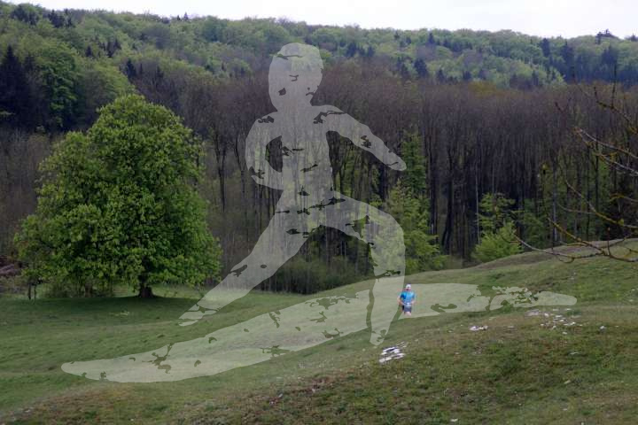 Altmühltrail 2015 - Streckenbilder Samstag und Sonntag_4