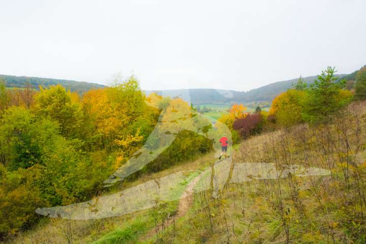 Altmühltrail 2016_200