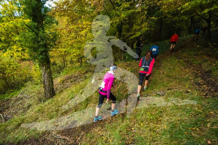 Altmühltrail 2016_222