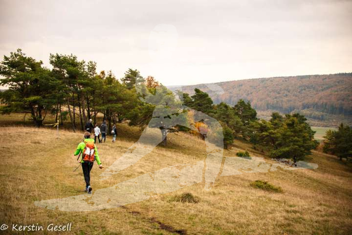 Altmühltrail 2016_304