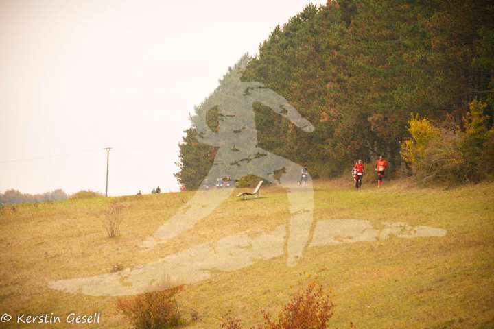 Altmühltrail 2016_311
